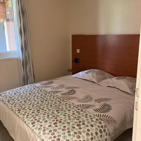 Vacances Ou Cnpe - Appart 2-3 Pers - Le Relais Du Plessis - Richelieu Chaveignes Extérieur photo
