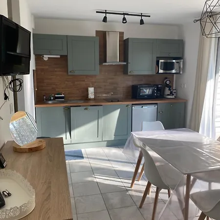 Vacances Ou Cnpe - Appart 2-3 Pers - Le Relais Du Plessis - Richelieu Chaveignes Extérieur photo